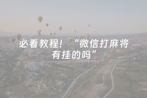 必看教程！“微信打麻将有挂的吗”（详细辅助教程）-哔哩哔哩