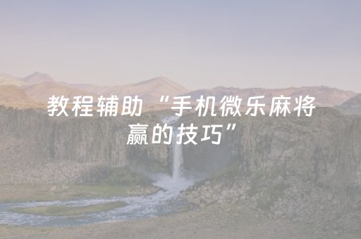 教程辅助“手机微乐麻将赢的技巧”（详细透视教程）-哔哩哔哩