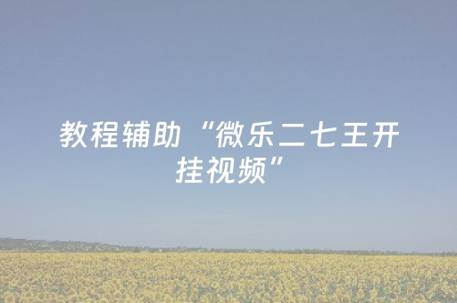 教程辅助“微乐二七王开挂视频”（详细透视教程）-哔哩哔哩