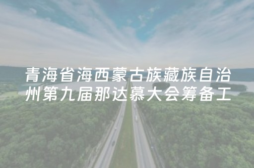 青海省海西蒙古族藏族自治州第九届那达慕大会筹备工作推进会召开