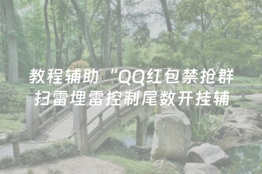 教程辅助“QQ红包禁抢群扫雷埋雷控制尾数开挂辅助”（详细透视教程）-哔哩哔哩