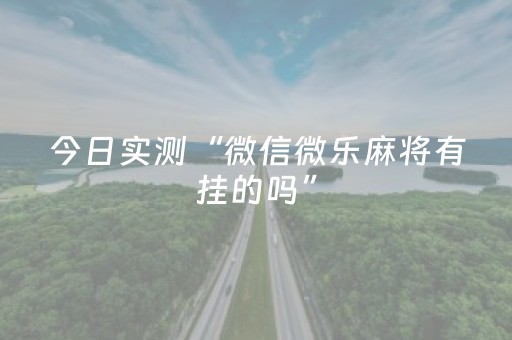 今日实测“微信微乐麻将有挂的吗”（详细透视教程）-哔哩哔哩