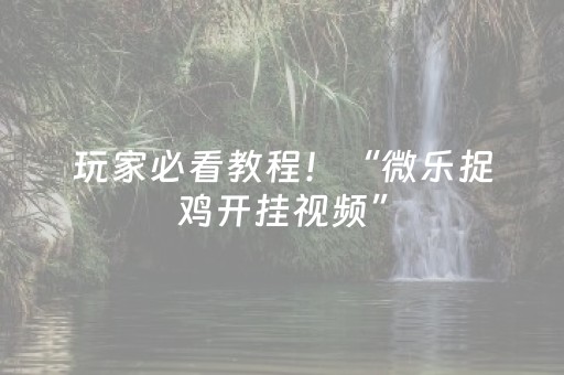 玩家必看教程！“微乐捉鸡开挂视频”（详细辅助教程）-哔哩哔哩