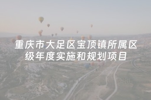 重庆市大足区宝顶镇所属区级年度实施和规划项目（不含跨区镇）