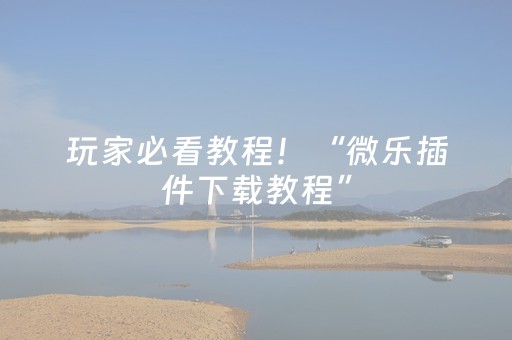玩家必看教程！“微乐插件下载教程”（详细透视教程）-哔哩哔哩