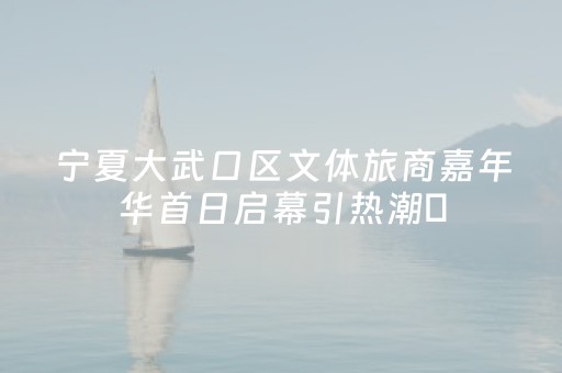 宁夏大武口区文体旅商嘉年华首日启幕引热潮​