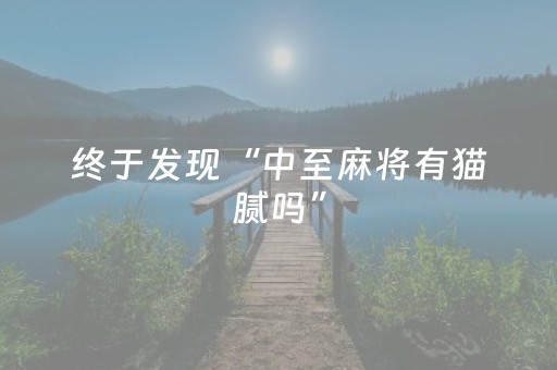 终于发现“中至麻将有猫腻吗”（详细透视教程）-哔哩哔哩