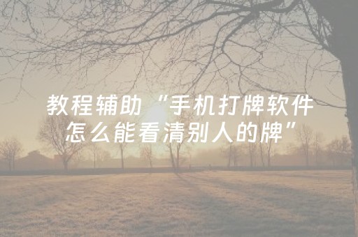 教程辅助“手机打牌软件怎么能看清别人的牌”（详细透视教程）-哔哩哔哩