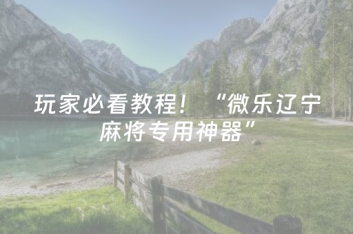 玩家必看教程！“微乐辽宁麻将专用神器”（详细透视教程）-哔哩哔哩