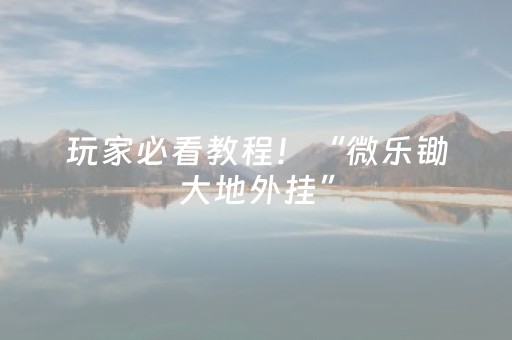 玩家必看教程！“微乐锄大地外挂”（详细开挂教程）-哔哩哔哩