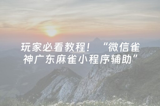 玩家必看教程！“微信雀神广东麻雀小程序辅助”（详细开挂教程）-哔哩哔哩