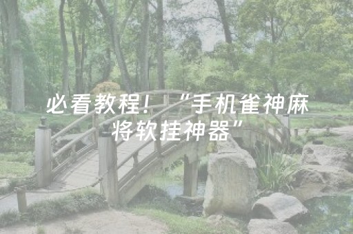 必看教程！“手机雀神麻将软挂神器”（详细透视教程）-哔哩哔哩