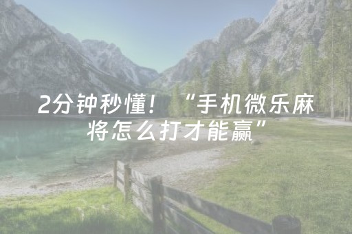 2分钟秒懂！“手机微乐麻将怎么打才能赢”（详细辅助教程）-哔哩哔哩