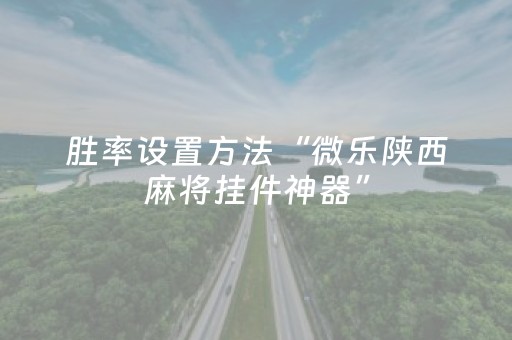 胜率设置方法“微乐陕西麻将挂件神器”（详细透视教程）-哔哩哔哩