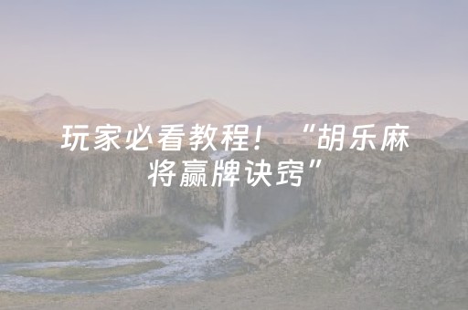 玩家必看教程！“胡乐麻将赢牌诀窍”（详细辅助教程）-哔哩哔哩