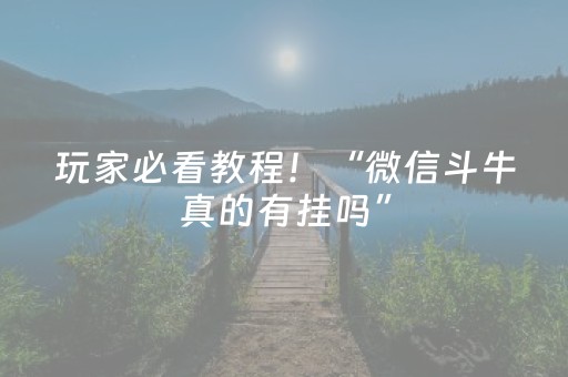 玩家必看教程！“微信斗牛真的有挂吗”（详细透视教程）-哔哩哔哩