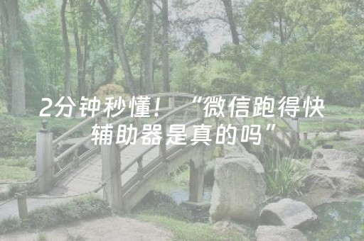 2分钟秒懂！“微信跑得快辅助器是真的吗”（详细辅助教程）-哔哩哔哩