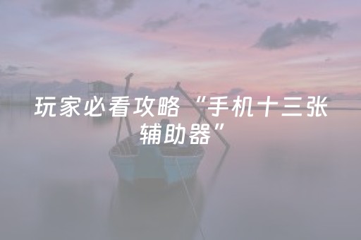 玩家必看攻略“手机十三张辅助器”（详细透视教程）-哔哩哔哩