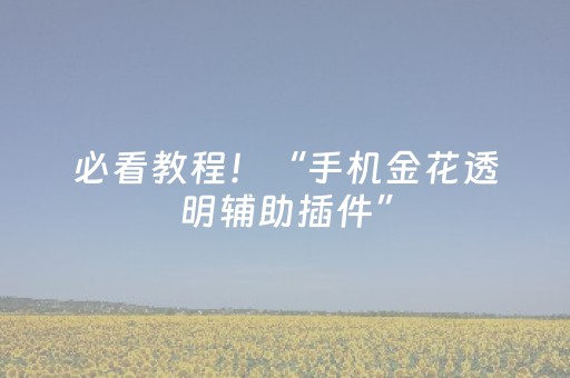 必看教程！“手机金花透明辅助插件”（详细开挂教程）-哔哩哔哩