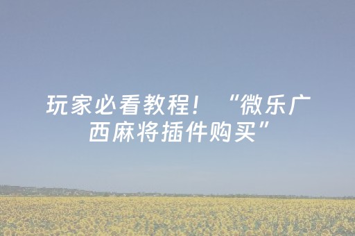 玩家必看教程！“微乐广西麻将插件购买”（详细开挂教程）-哔哩哔哩