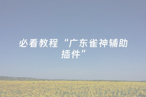 必看教程“广东雀神辅助插件”（详细透视教程）-哔哩哔哩