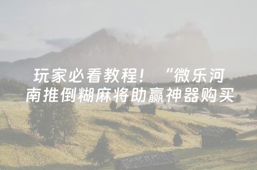 玩家必看教程！“微乐河南推倒糊麻将助赢神器购买”（详细辅助教程）-哔哩哔哩