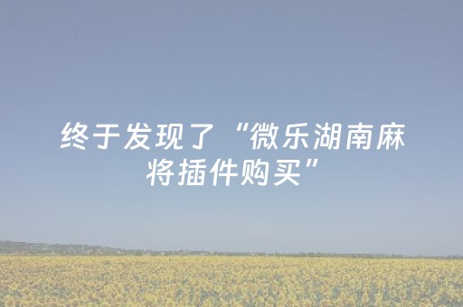 终于发现了“微乐湖南麻将插件购买”（详细透视教程）-哔哩哔哩