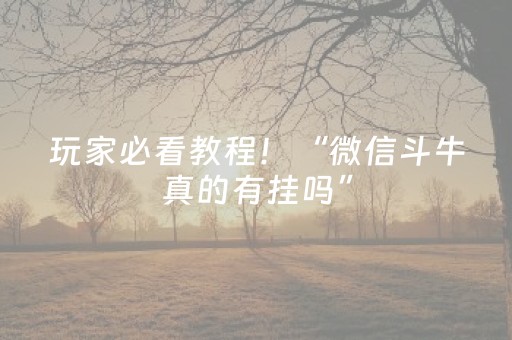 玩家必看教程！“微信斗牛真的有挂吗”（详细辅助教程）-哔哩哔哩