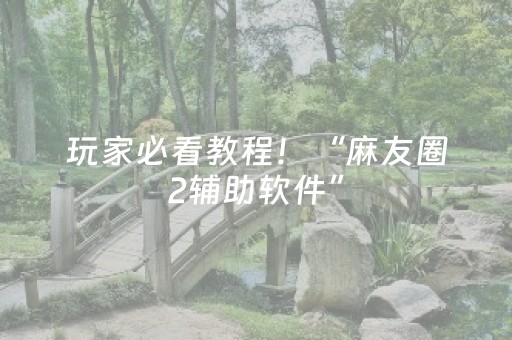 玩家必看教程！“麻友圈2辅助软件”（详细辅助教程）-哔哩哔哩