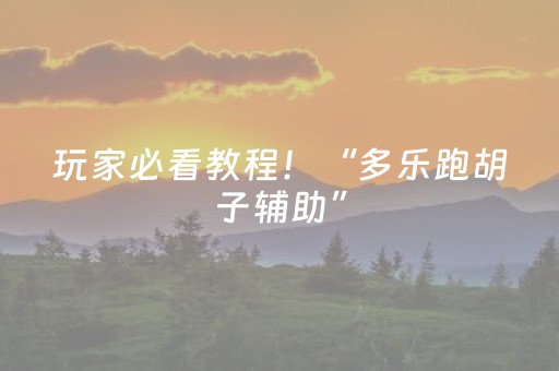 玩家必看教程！“多乐跑胡子辅助”（详细辅助教程）-哔哩哔哩