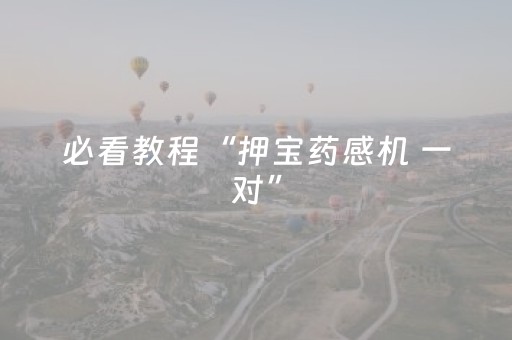 必看教程“押宝药感机 一对”（详细透视教程）-哔哩哔哩