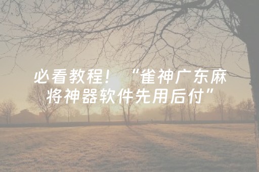 必看教程！“雀神广东麻将神器软件先用后付”（详细开挂教程）-哔哩哔哩