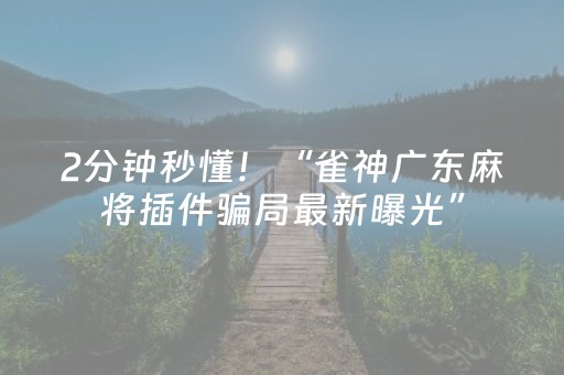 2分钟秒懂！“雀神广东麻将插件骗局最新曝光”（详细辅助教程）-哔哩哔哩