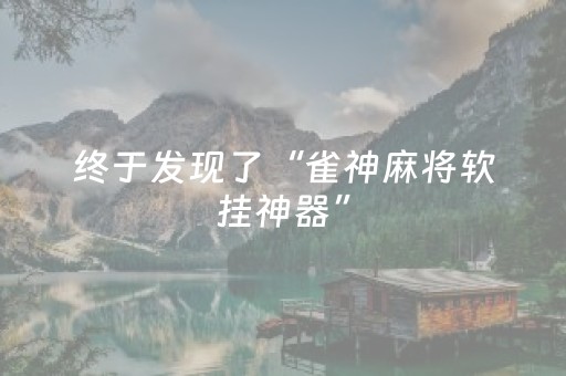 终于发现了“雀神麻将软挂神器”（详细透视教程）-哔哩哔哩