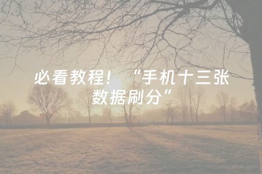 必看教程！“手机十三张数据刷分”（详细透视教程）-哔哩哔哩