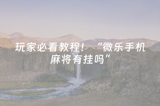 玩家必看教程！“微乐手机麻将有挂吗”（详细辅助教程）-哔哩哔哩