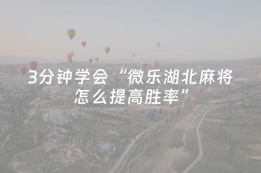 3分钟学会“微乐湖北麻将怎么提高胜率”（详细透视教程）-哔哩哔哩