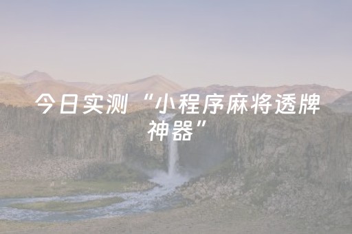 今日实测“小程序麻将透牌神器”（详细辅助教程）-哔哩哔哩