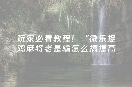 玩家必看教程！“微乐捉鸡麻将老是输怎么搞提高胜率”（详细开挂教程）-哔哩哔哩