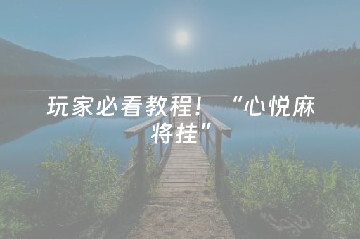 玩家必看教程！“心悦麻将挂”（详细辅助教程）-哔哩哔哩