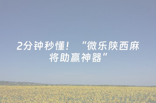 2分钟秒懂！“微乐陕西麻将助赢神器”（详细透视教程）-哔哩哔哩