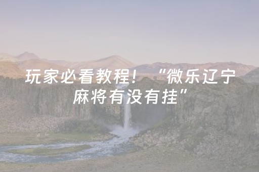 速试这款神器!白金岛十胡卡确实有挂的(真的确实是有挂)