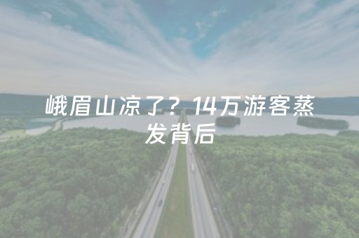 这软件真厉害!中至吉安王炸为什么一直输(十打九赢的打法)