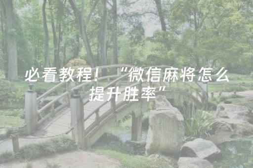 必看教程！“微信麻将怎么提升胜率”（详细辅助教程）-哔哩哔哩