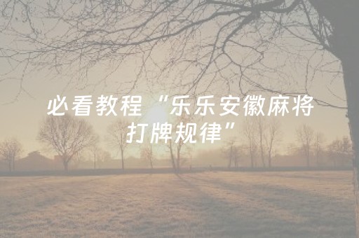 必看教程“乐乐安徽麻将打牌规律”（详细透视教程）-哔哩哔哩