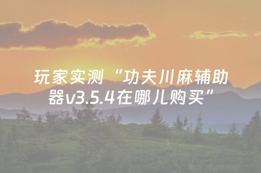 玩家实测“功夫川麻辅助器v3.5.4在哪儿购买”（详细透视教程）-哔哩哔哩