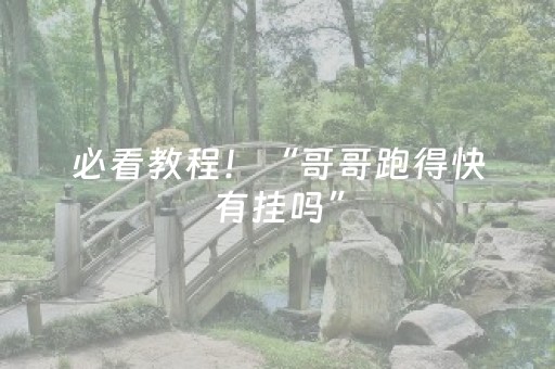 必看教程！“哥哥跑得快有挂吗”（详细辅助教程）-哔哩哔哩