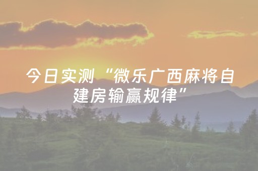 今日实测“微乐广西麻将自建房输赢规律”（详细透视教程）-哔哩哔哩