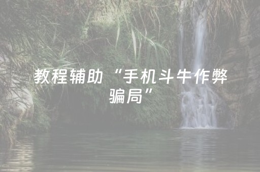 教程辅助“手机斗牛作弊骗局”（详细透视教程）-哔哩哔哩