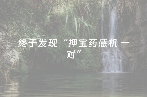 终于发现“押宝药感机 一对”（详细透视教程）-哔哩哔哩